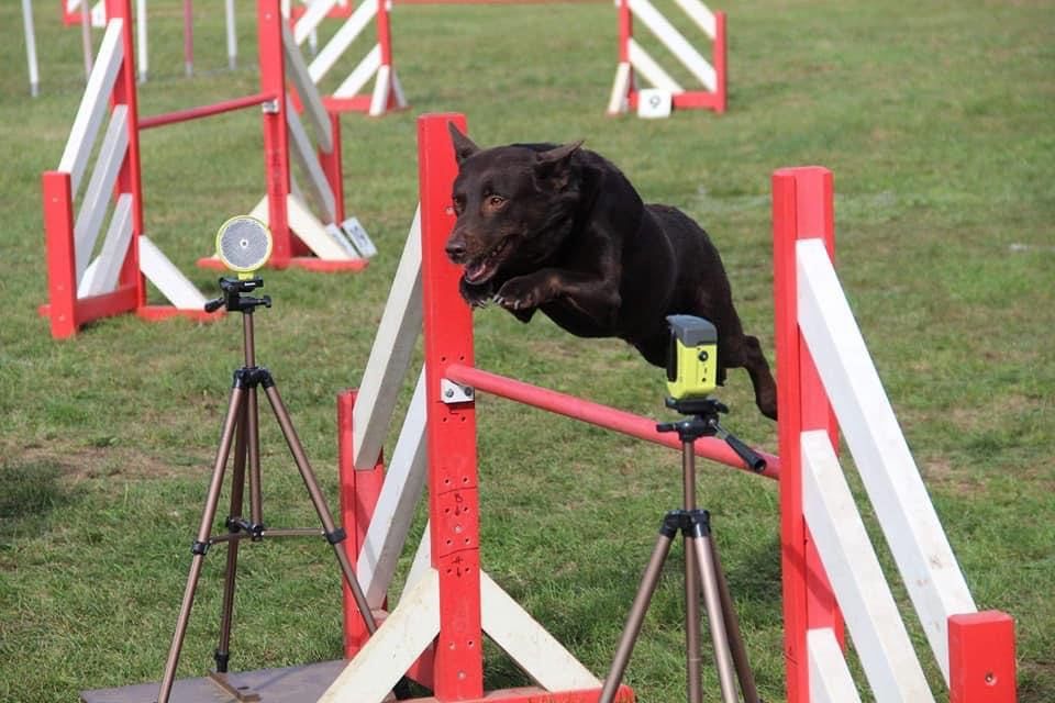 Agility