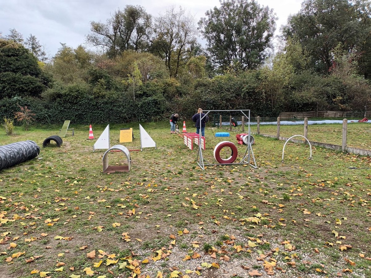 Mise en place des obstacles avant le cours d'automne